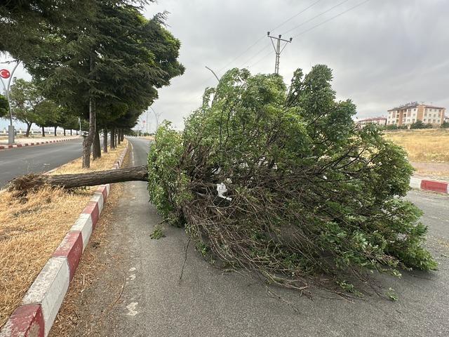 Van'da şiddetli r&uuml;zgar! Ağa&ccedil;lar devrildi