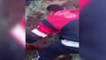Sulama kanal�na d��erek mahsur kalan ineklerin kurtar�lma anlar�...