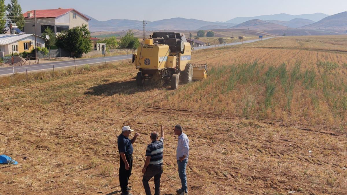 Nohut hasadı başladı: Aylar süren emek ürüne dönüştü 2