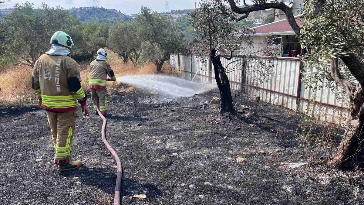 Defne’de zeytinlik alanda yangın - Mynet Yaşam