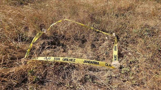 Bursa’da kurtuluş savaşından kalma el bombaları bulundu 1