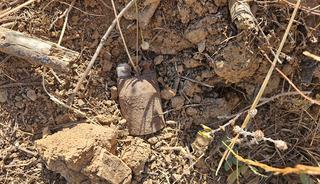 Toprağın altından bomba fışkırdı: Hepsi Kurtuluş Savaşı d&ouml;neminden!