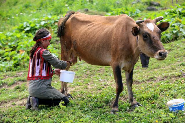 Hamdu Sena, yaylada hayvanlarına bakıp ders çalışıyor