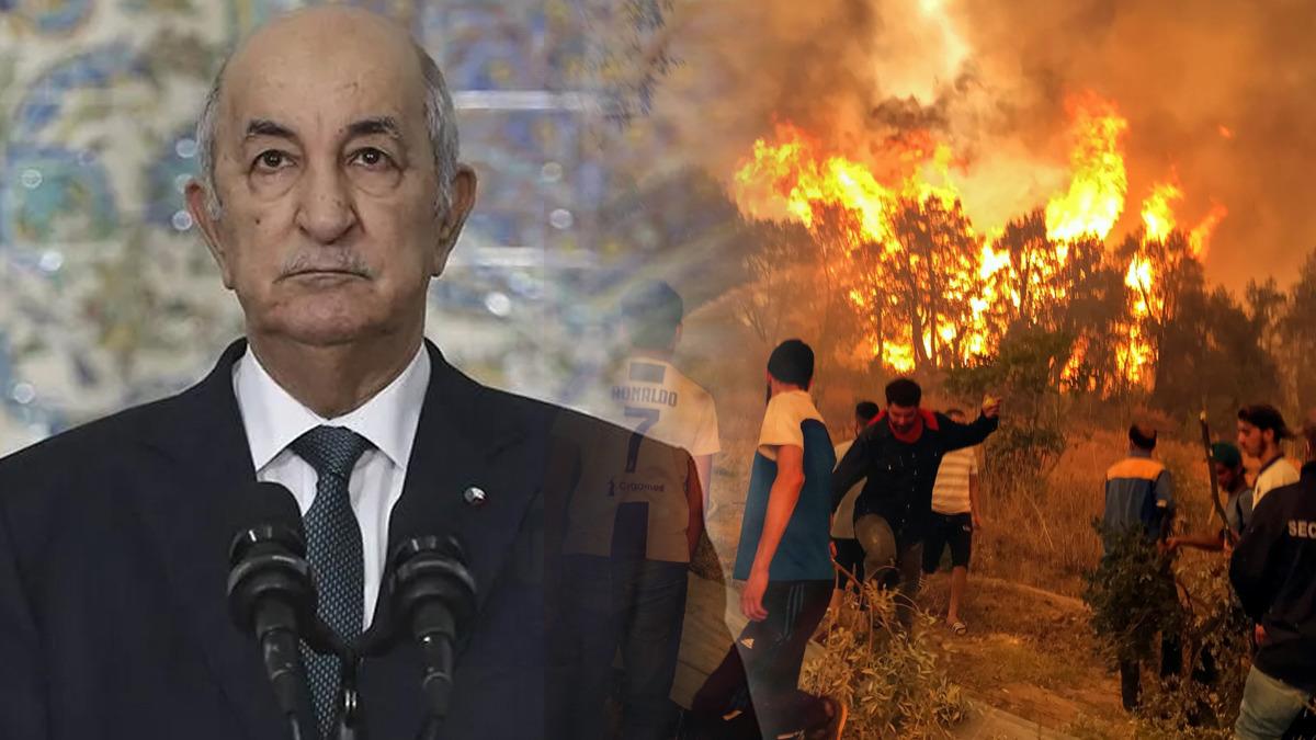 Cezayir Cumhurbaşkanı Tebbun'dan orman yangınlarını çıkaranlara idam cezası talimatı - Dünya Haberleri