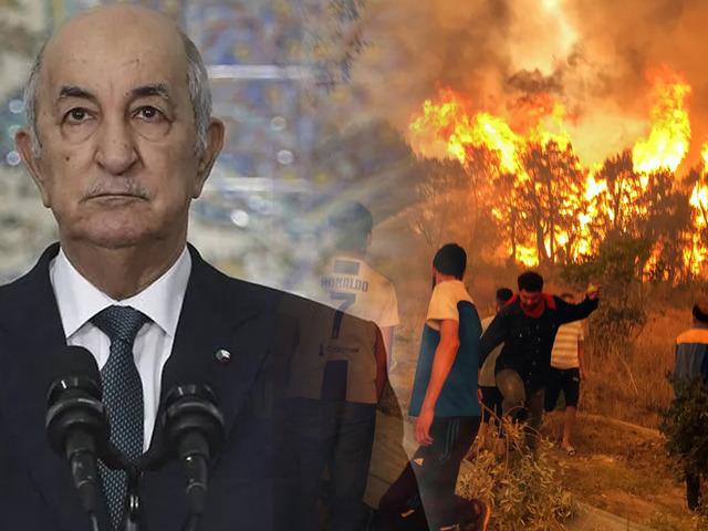 Cezayir liderinden orman yangınlarını &ccedil;ıkaranlara idam cezası talimatı
