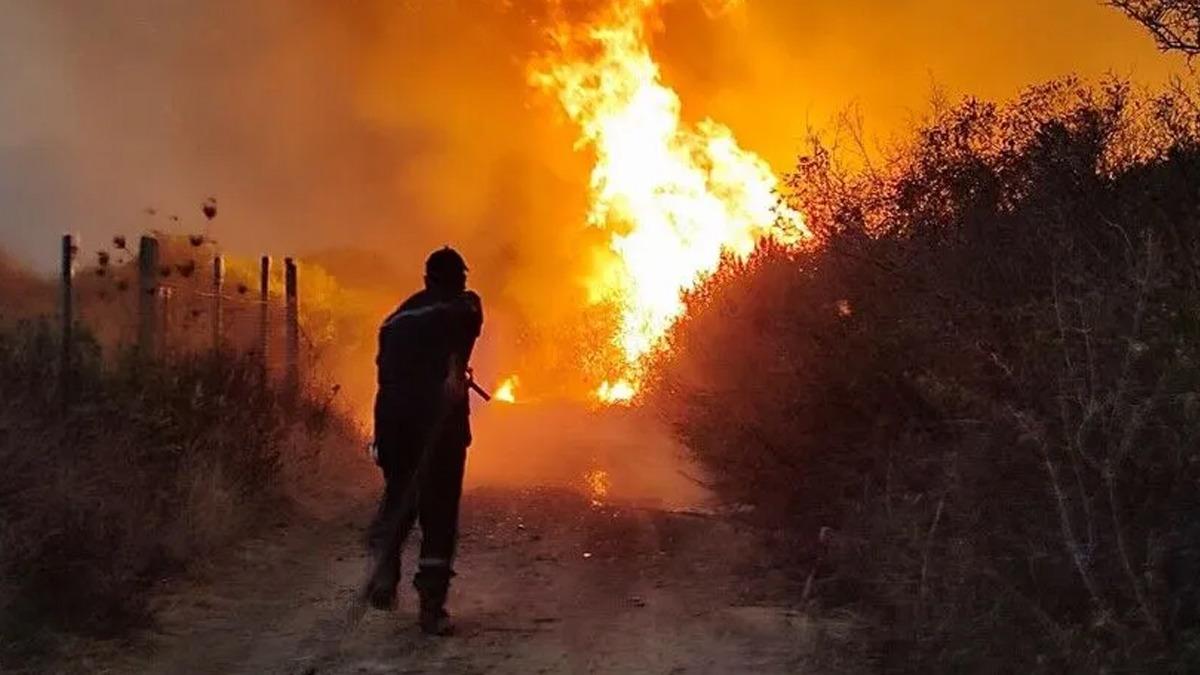 Cezayir Cumhurbaşkanı Tebbun dan orman yangınlarını &ccedil;ıkaranlara idam cezası talimatı 7