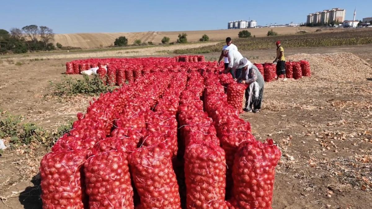 Tam 3 yılda sofraya geliyor! Susuz yetişmesiyle dikkat çekiyor 2