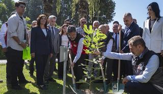 Tarım ve Orman Bakanı Yumaklı, Aydın'da incir hasadında konuştu