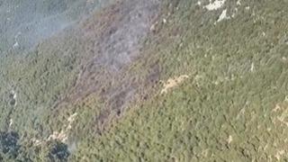 Son dakika: Manavgat&rsquo;taki orman yangını kontrol altına alındı