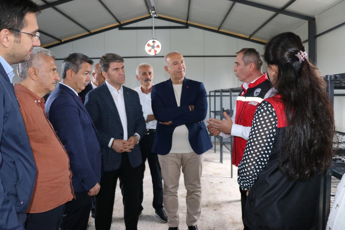 Amasya’da ipek böcekçiliği yeniden canlanıyor! Üreticilere milyonluk destek 2