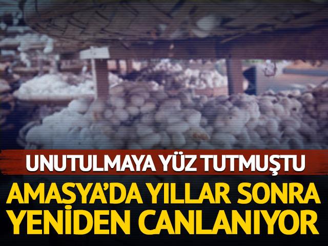 Amasya&rsquo;da ipek b&ouml;cek&ccedil;iliği yeniden canlanıyor! &Uuml;reticilere milyonluk destek