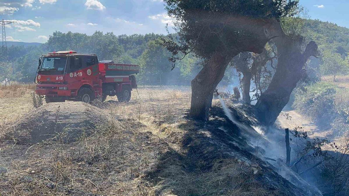 Kastamonu’da çıkan örtü yangını söndürüldü - Güncel Haberler
