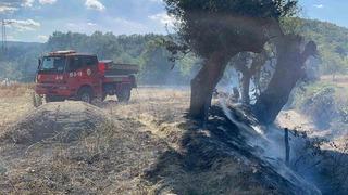 Kastamonu’da çıkan örtü yangını söndürüldü