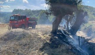 Kastamonu&rsquo;da &ccedil;ıkan &ouml;rt&uuml; yangını s&ouml;nd&uuml;r&uuml;ld&uuml;