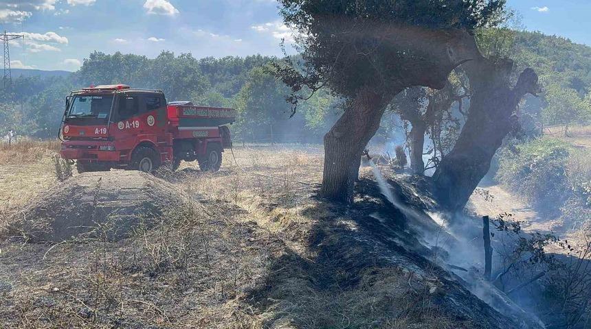 Kastamonu&rsquo;da &ccedil;ıkan &ouml;rt&uuml; yangını s&ouml;nd&uuml;r&uuml;ld&uuml;