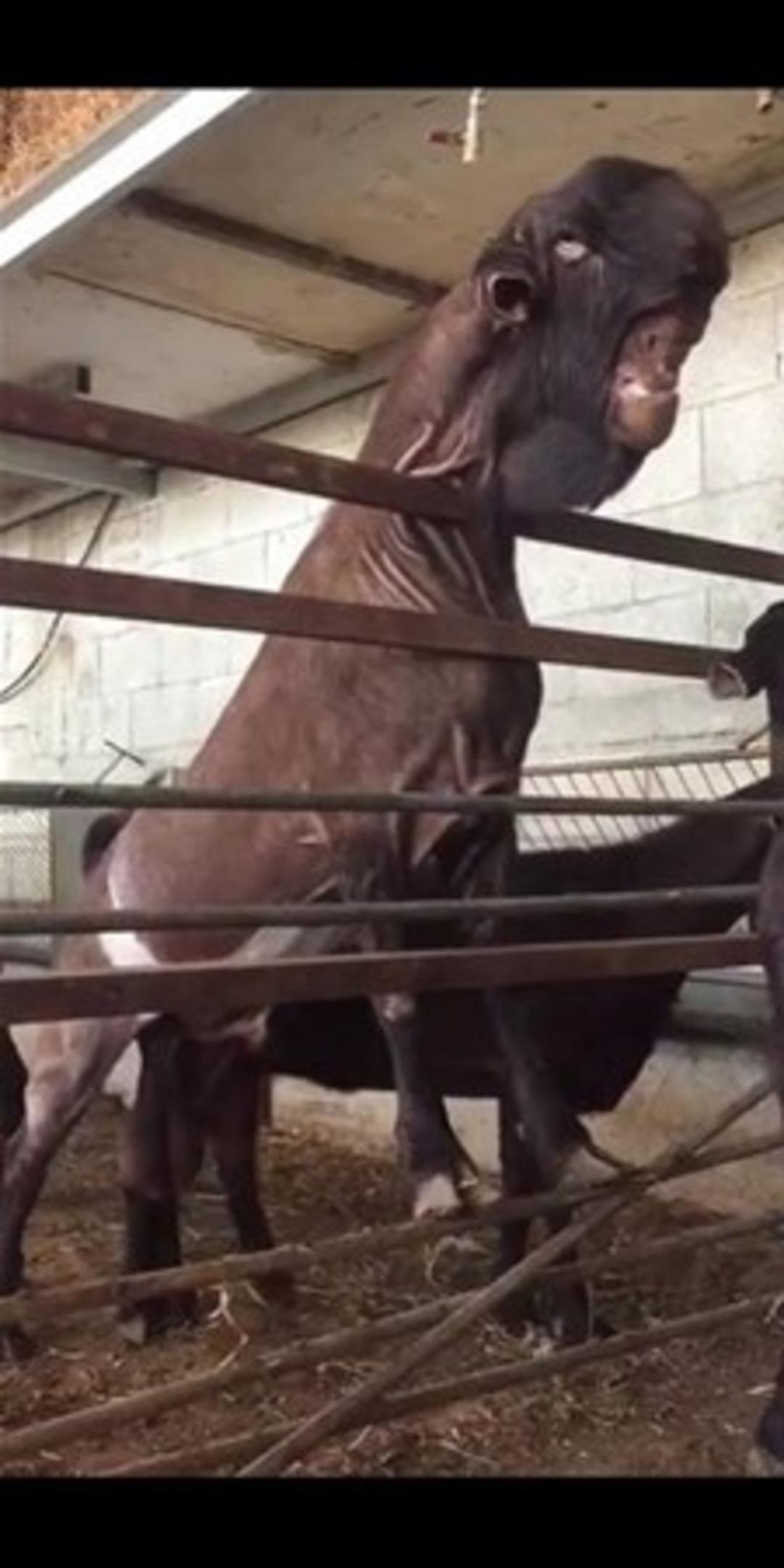 G&ouml;renler inanamıyor 