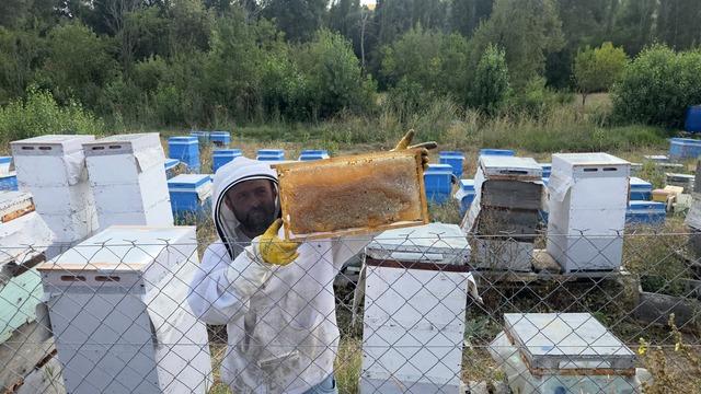 Hobi olsun diye başladı! Yıllar içinde üretimini katladı