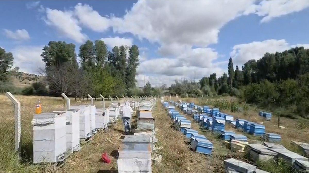 Hobi olsun diye başladı! Yıllar içinde üretimini katladı 2