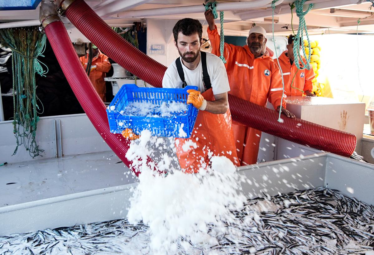 &ldquo;Vira Bismillah&rdquo; dediler, ağları hamsiyle doldu!  4