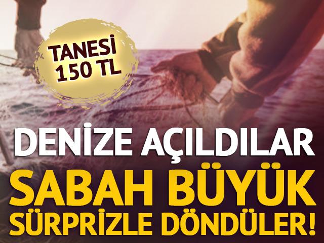 Denize a&ccedil;ıldılar, sabah b&uuml;y&uuml;k s&uuml;rprizle d&ouml;nd&uuml;ler! Tanesi 150 TL