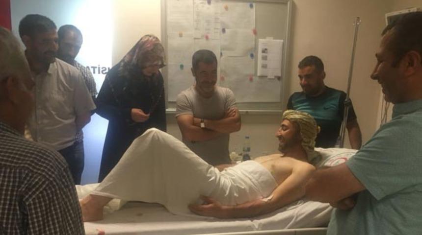 Pikniğe giden vatandaşlara ayı saldırdı!