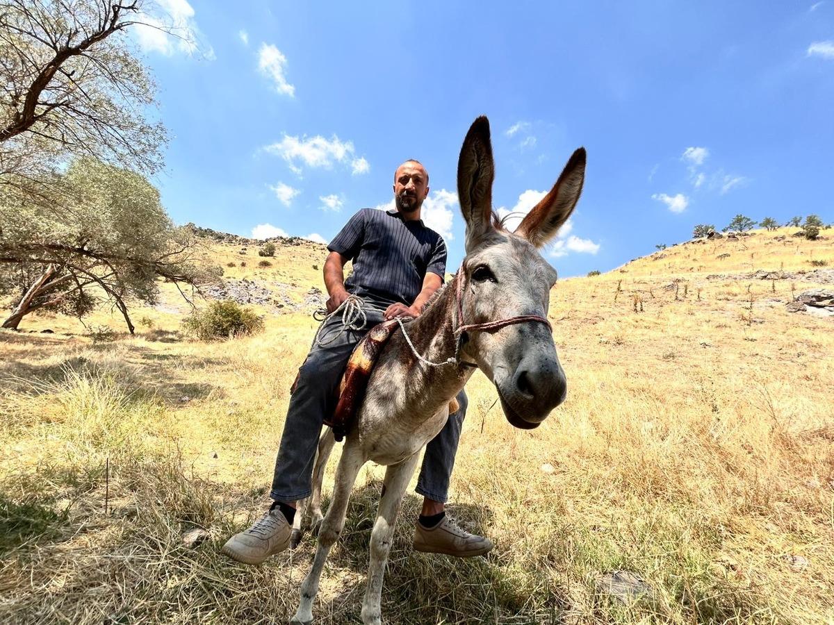 Ankara’da görenleri şaşırtan olay: Eşeği çekiciyle götürdüler 3