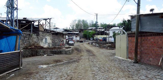 Ayı, Arıbahçe köyünün kâbusu oldu