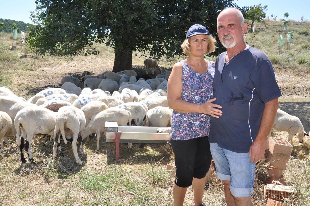 Hollanda'daki işlerini bırakıp &ccedil;iftlik kurdular!