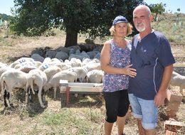 Hollanda'daki işlerini bırakıp çiftlik kurdular!