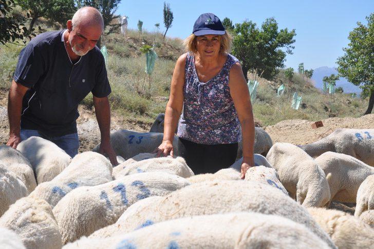Hollanda'daki işlerini bırakıp çiftlik kurdular! G3