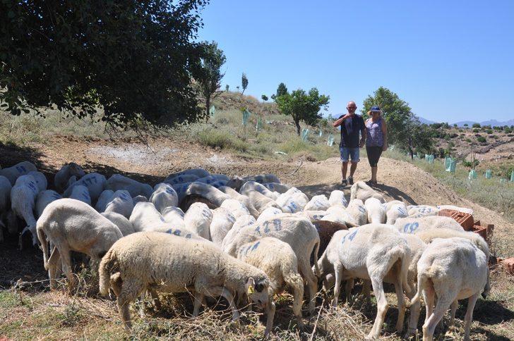 Hollanda'daki işlerini bırakıp çiftlik kurdular! G4