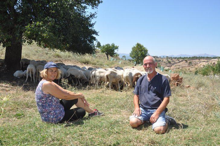 Hollanda'daki işlerini bırakıp çiftlik kurdular! G1