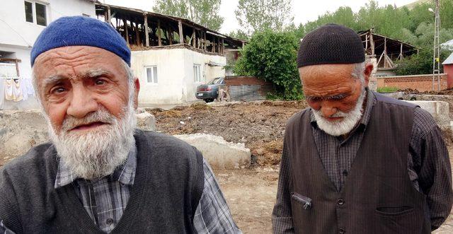 Ayı, Arıbahçe köyünün kâbusu oldu- Yeniden