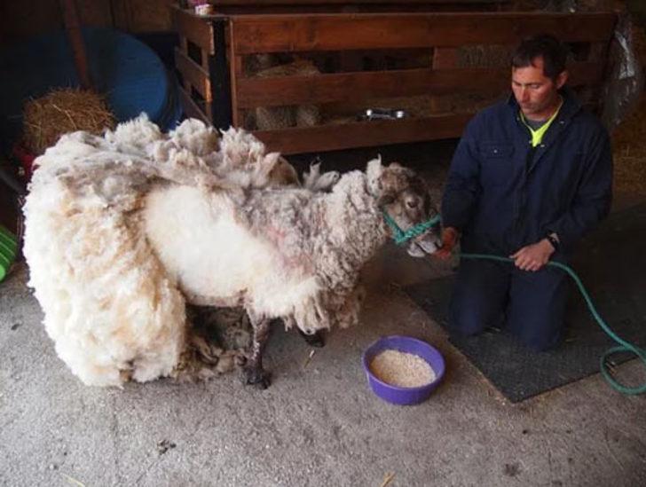 Böylesini görmüş müydünüz?  G5