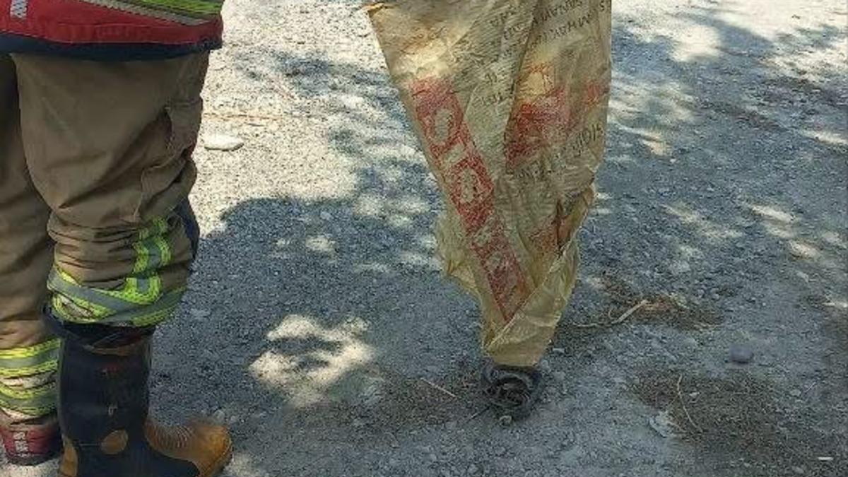 Erzin’de eve giren yılan yakalandı - Güncel Haberler