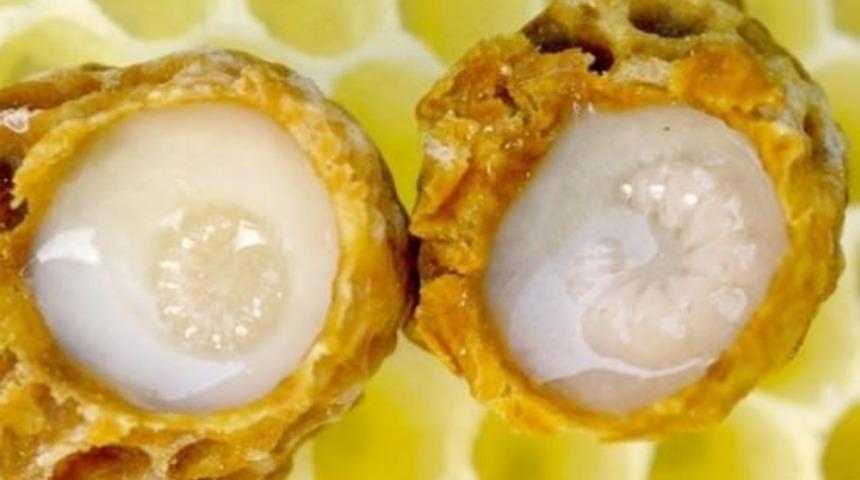 Kilosu 10 bin TL'ye satılıyor! Faydaları hayat kurtarıyor