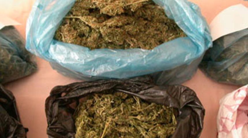 96 kg esrar ele geçirildi