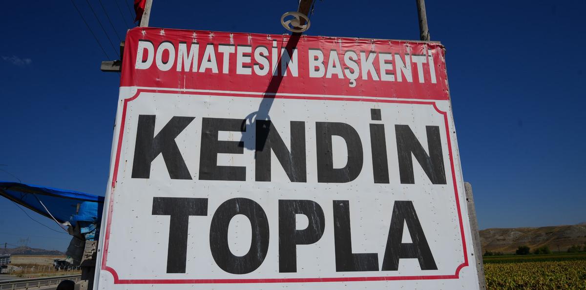 Tabelayı gören tarlaya koştu: 10 yıldır var! Cumartesi pazar çok yoğun 1