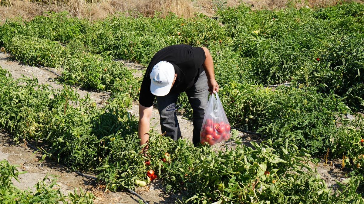Tabelayı gören tarlaya koştu: 10 yıldır var! Cumartesi pazar çok yoğun 2