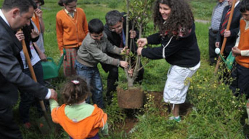Ağa&ccedil; kampanyası devam ediyor...