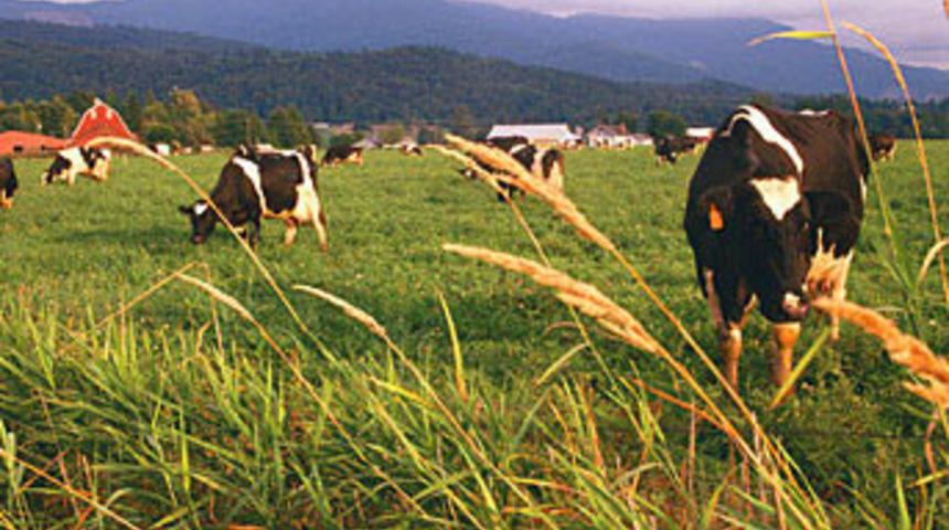 127 bin aileye destek