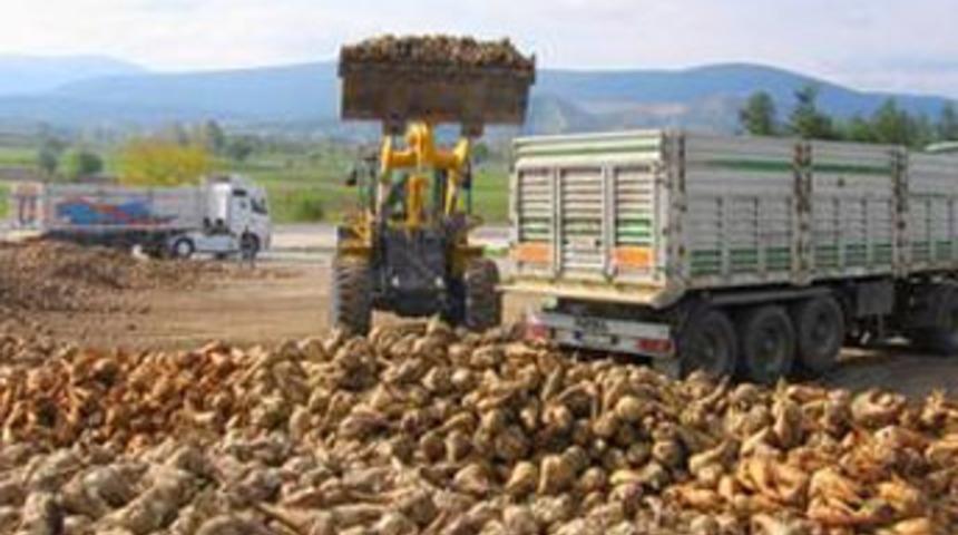 Pancar &uuml;reticisine 64 milyon lira &ouml;dendi