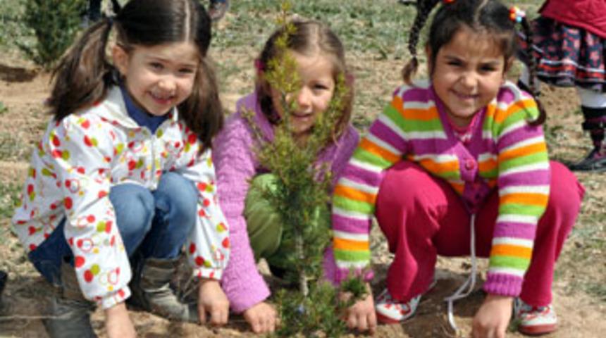 Minikler fidan dikti