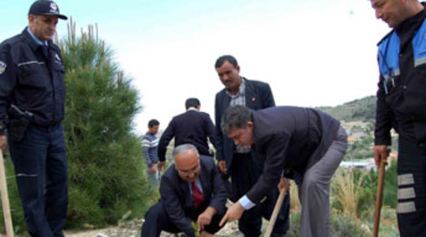 Polislerin de artık bir ormanı var