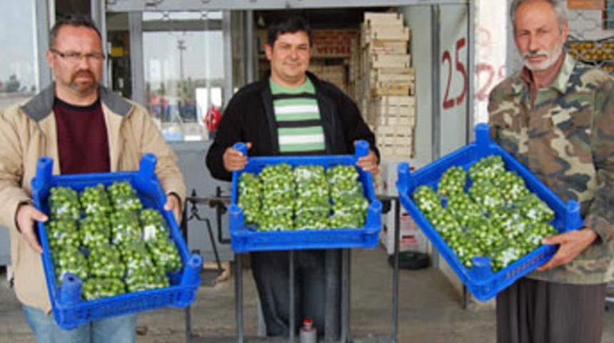 Erik &ouml;rt&uuml; altından &ccedil;ıktı, fiyatı ucuzladı