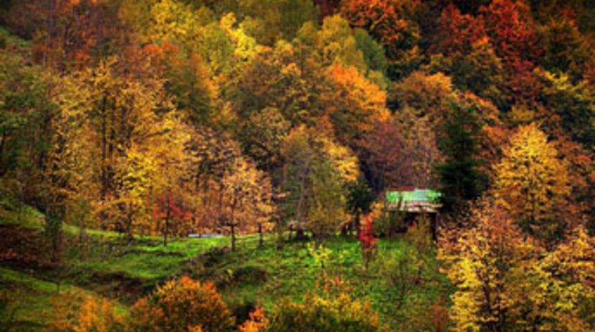En iyi fotoğraf se&ccedil;ildi...