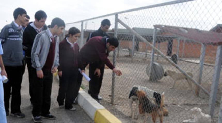 &Ccedil;ocuklara hayvan sevgisi aşılanacak