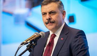 G&uuml;rcistan&rsquo;da kırmızı b&uuml;lten operasyonu