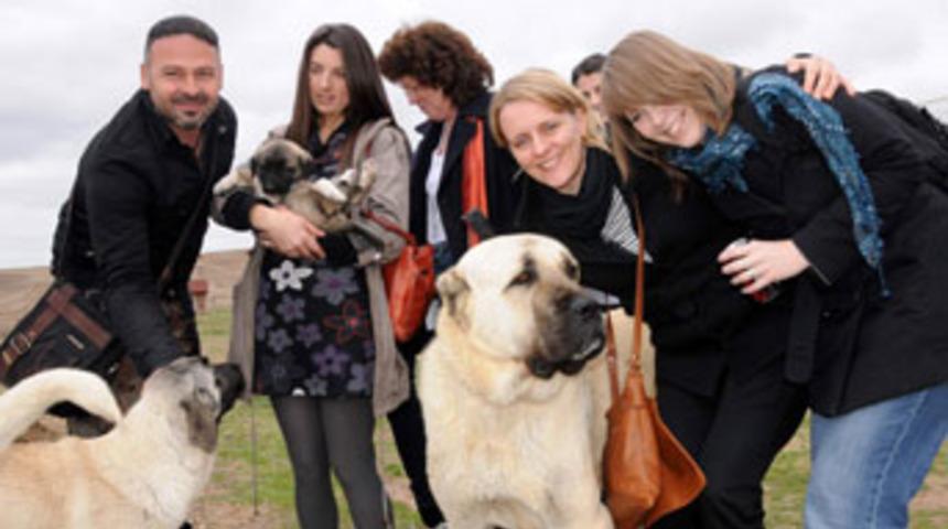 Avrupalı &ouml;ğretmenlerin kangal hayranlığı