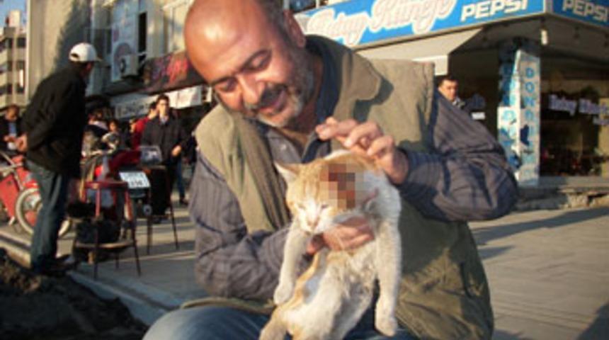 Sokak kedisine işkence mi yapıldı